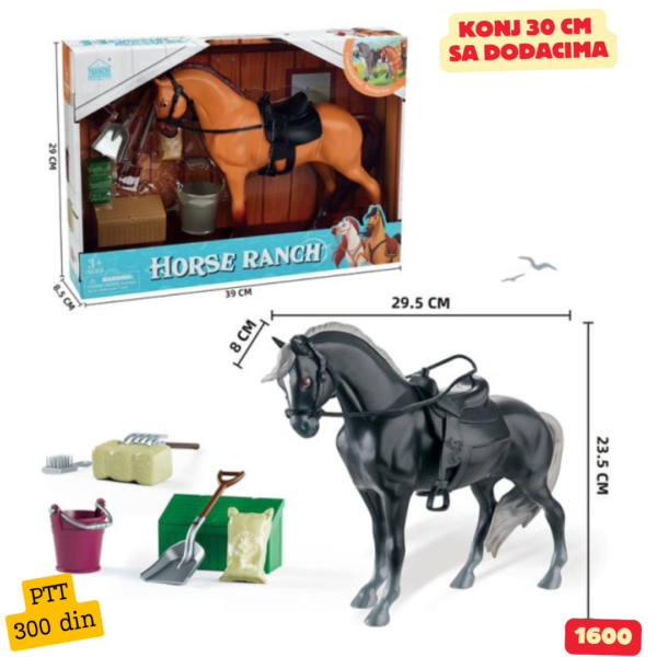 Konj set